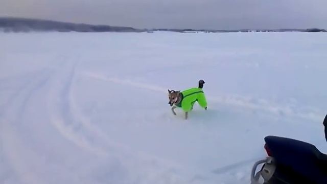 yamaha rx1 смотреть онлайн