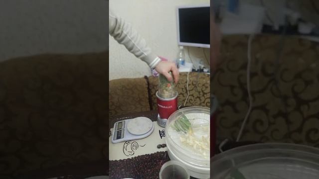 Вкуснейшее домашнее специи своими руками