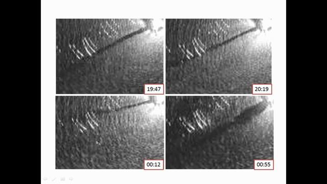 XVI.E.23 - Поверхностные проявления струйных течений в структуре сликовых полос - Капустин И. А. смотреть онлайн