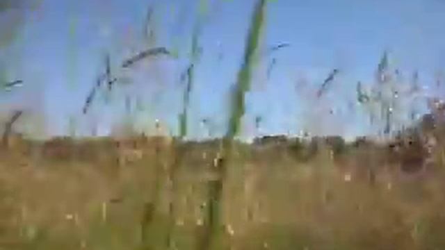 Поле... смотреть онлайн