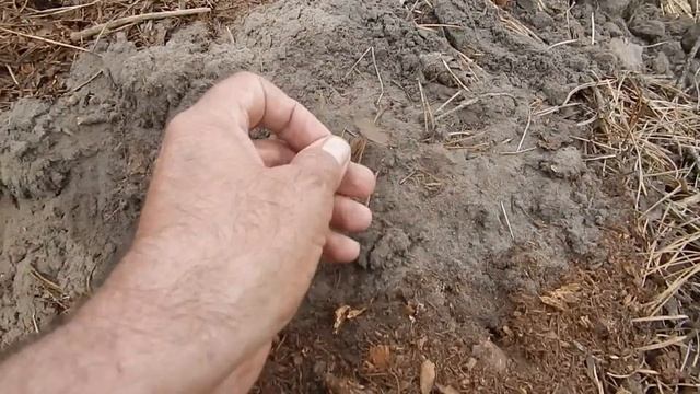 Сегодня был ШУРФ с СЕРЕБРОМ!Последние испытания прибора RUTUS Ultima( РУТУС Ультима)КОП 2020.