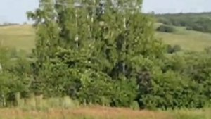 пос. Шахта №2 Щекинский р-н Тульская обл (2011г)