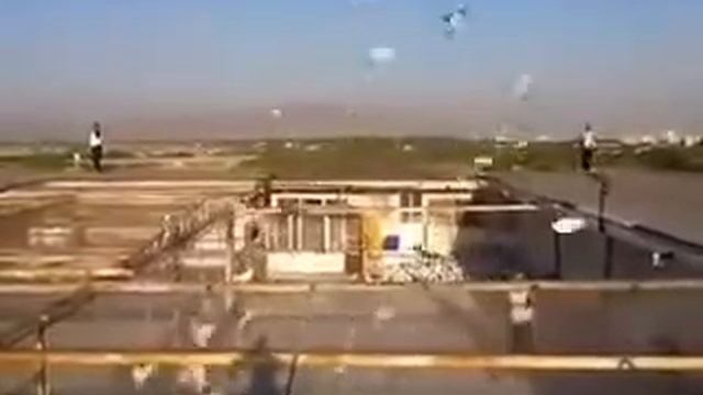 1000 ГОЛУБЕЙ НА НЕБЕ, ЗРЕЛИЩЕ смотреть онлайн