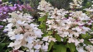 Прогулка по прекрасному саду в природном стиле 3 часть