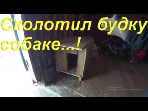 Сколотил тёплую будку собаке на Зиму
