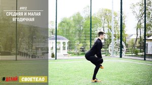 Растяжка ягодичных мышц / Растяжка средней и малой ягодичной мышцы