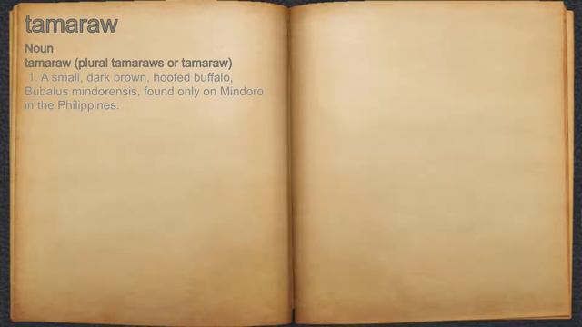 What does tamaraw mean? смотреть онлайн