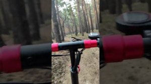 KUGOO max speed по БЕЗДОРОЖЬЮ