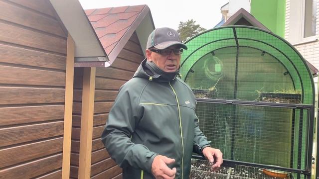 Обзор питомника для разведения голубей. смотреть онлайн