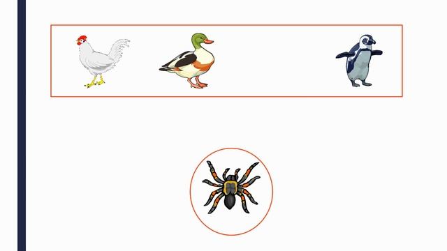 Развивающая игра «Четвёртый лишний» смотреть онлайн