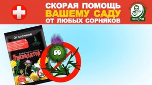 Ликвидатор Доктор Грин