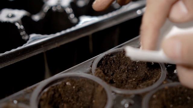 Какой канал создать на YouTube, если Вы живёте в деревне или на даче? Идеи для канала смотреть онлайн