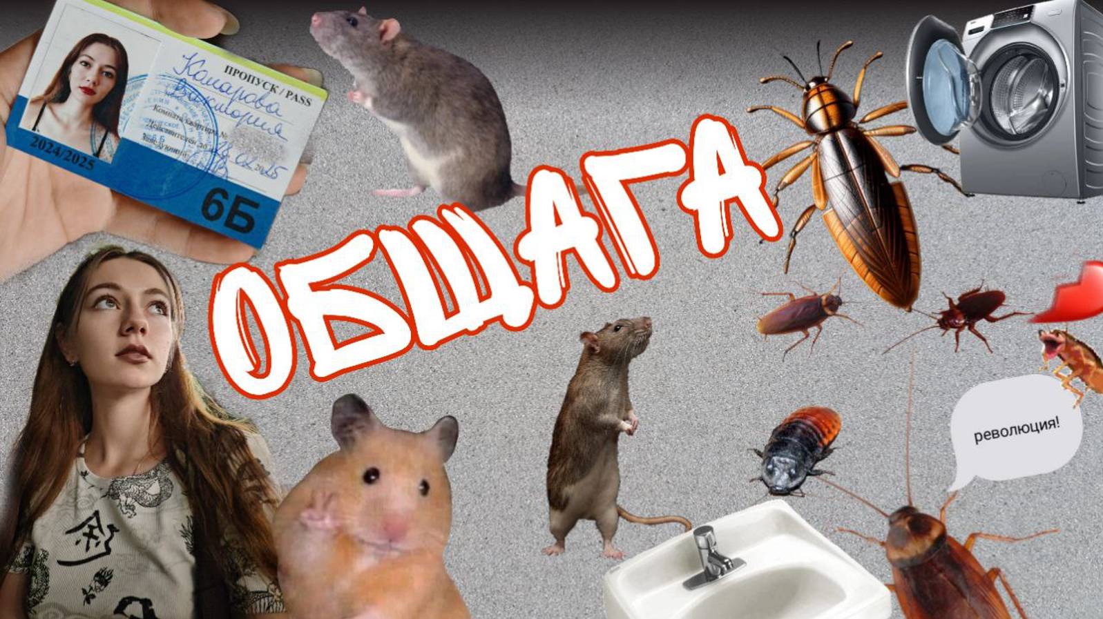 Жизнь ОБЩАЖНАЯ. Переезд в новый город, поступление в ВУЗ и общежитие.