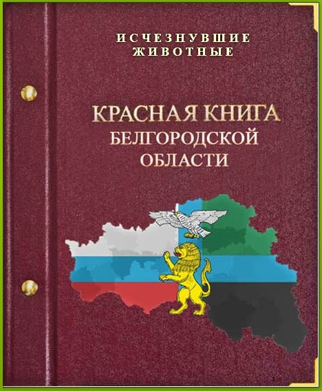 Красная книга белгородской области фото