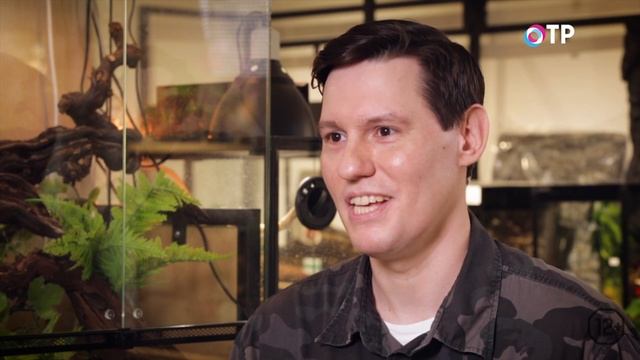 Королевский питон - идеальная змея! Чем кормить? Сколько живут? смотреть онлайн