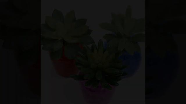 Artificial Flowering Plant 6.5" смотреть онлайн