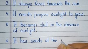 10 Lines On Sunflower Essay In English | Sunflower Essay In English 10 Lines | Short Essay Sunflowe