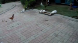 Отель ТИМО РЕЗОРТ 5*