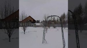 4 мая 2024 года.Ждём весну.