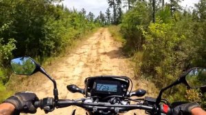 My NEW 2023 Honda CRF300LS / First Impressions On and Off Road