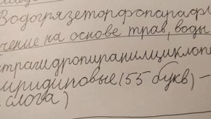 САМЫЕ ДЛИННЫЕ СЛОВА В РУССКОМ ЯЗЫКЕ