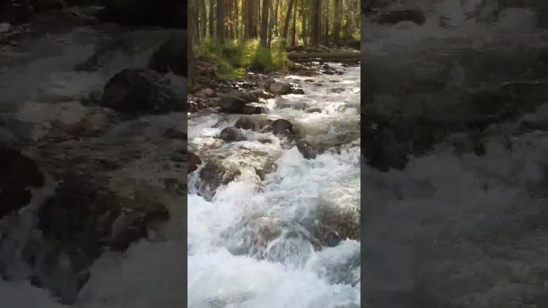 Северный Байкал, горная река , рыбалка . #shorts#рыбалка#fishing#