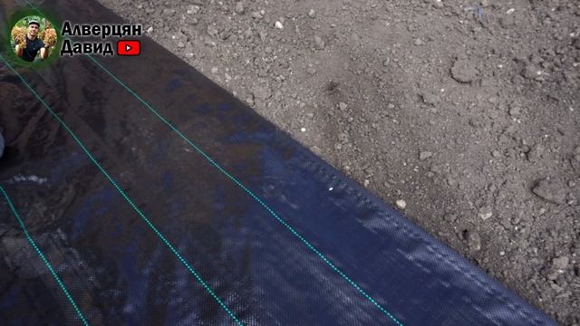 Агроткань от сорняков!