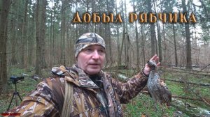 Охота на рябчика с манком. Удивительный случай