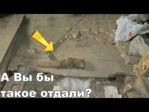 ПАРЕНЬ НАШЕЛ ОГРОМНЫЙ СХРОН ВЫ БЫ ТАК ПОСТУПИЛИ?