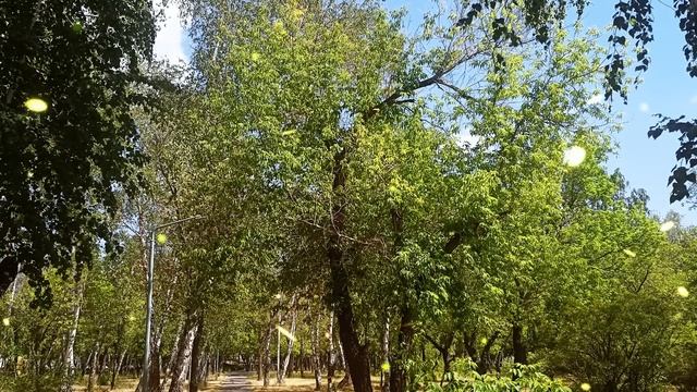 Обнаглевшая свекровь требует от сына, чтобы он помогал сестре деньгами