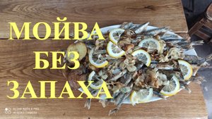 ВКУСНЕЙШАЯ МОЙВА БЕЗ ЗАПАХА НА САДЖЕ НА КОСТРЕ #28.mp4