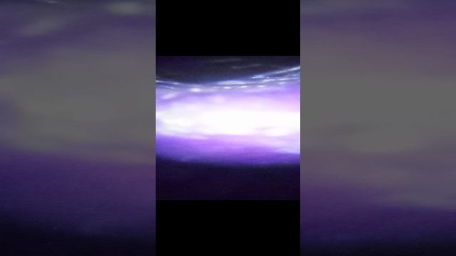 Шерстяная нить под микроскопом