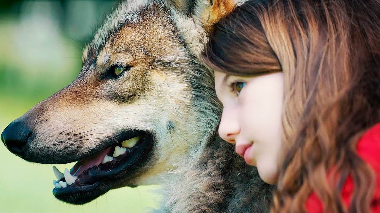 Мой волк фильм фото