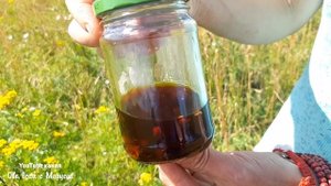 В СССР ЗНАЛИ СРЕДСТВО ОТ КОМАРОВ И СПАСЕНИЕ ОТ ГНУСА
