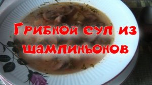 Грибной суп из шампиньонов.