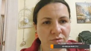 Дрессировка волкособов ? Сложности воспитания волчат.