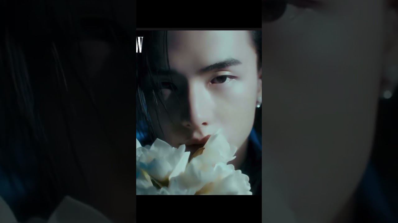 Хенджин и Ван Ибо. Песня из фильма «Аноним». Фан видео #hyunjin #wang_yibo смотреть онлайн