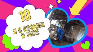 Я с козами в Топе