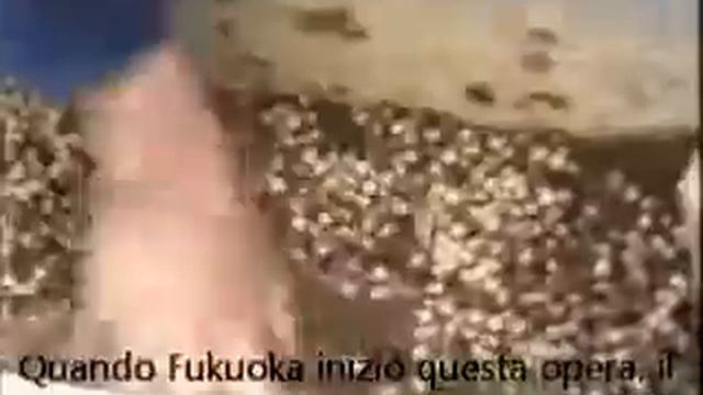 Masanobu Fukuoka sottotitoli Italiano смотреть онлайн