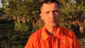 Почему гниёт чеснок?