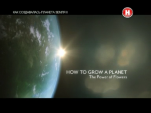 Как создавалась планета Земля II. Эпоха цветов