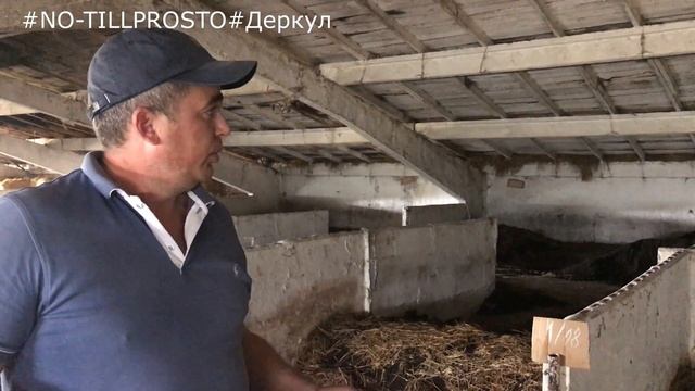 NO-TILL. Разведение червей для производства вермигумуса.Часть1 2020г смотреть онлайн