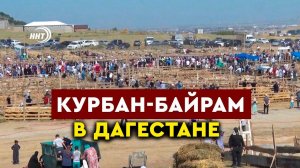 Курбан-Байрам в Дагестане. Мусульмане отмечают главный праздник Ислама