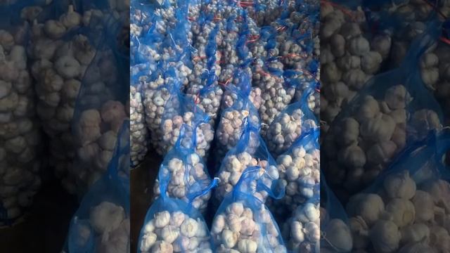 10kg/bag white garlic supplier