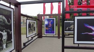 ТК "Родной". В Кировске появилась фотовыставка, посвященная вековой истории российского цирка