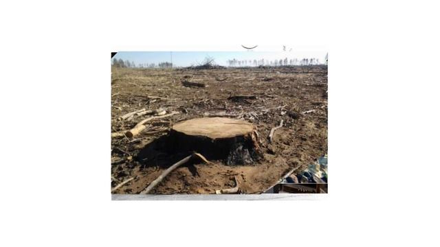 Легенды СССР - зачем японцы покупали у нас кувалды и битое стекло смотреть онлайн