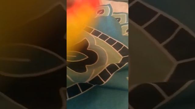 Коля лопает попит сердечко 