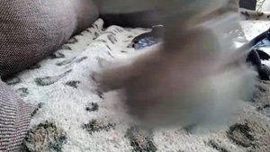 Эликсир который оживляет игрушек и мама длинные  ноги в реальной жизни!!!