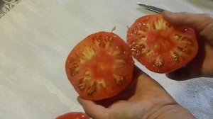 Томат Семен Безголовый. Тест зрелых плодов.