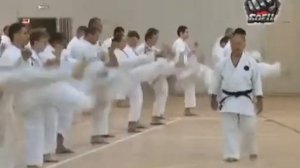 Морио Хигаонна, 10 дан Годзю-рю Каратэ, интервью... Рус